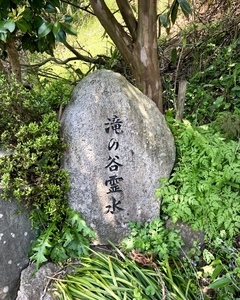 IMG_1514_コピー_コピー